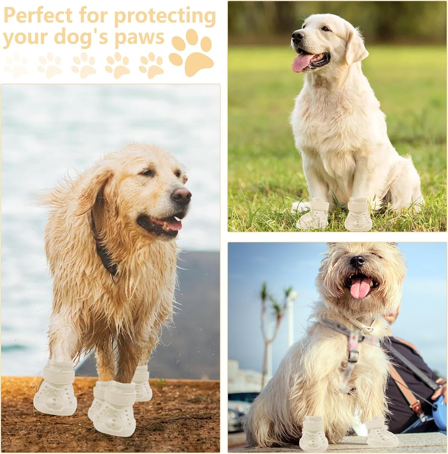 Croc-Style Dog Shoes
