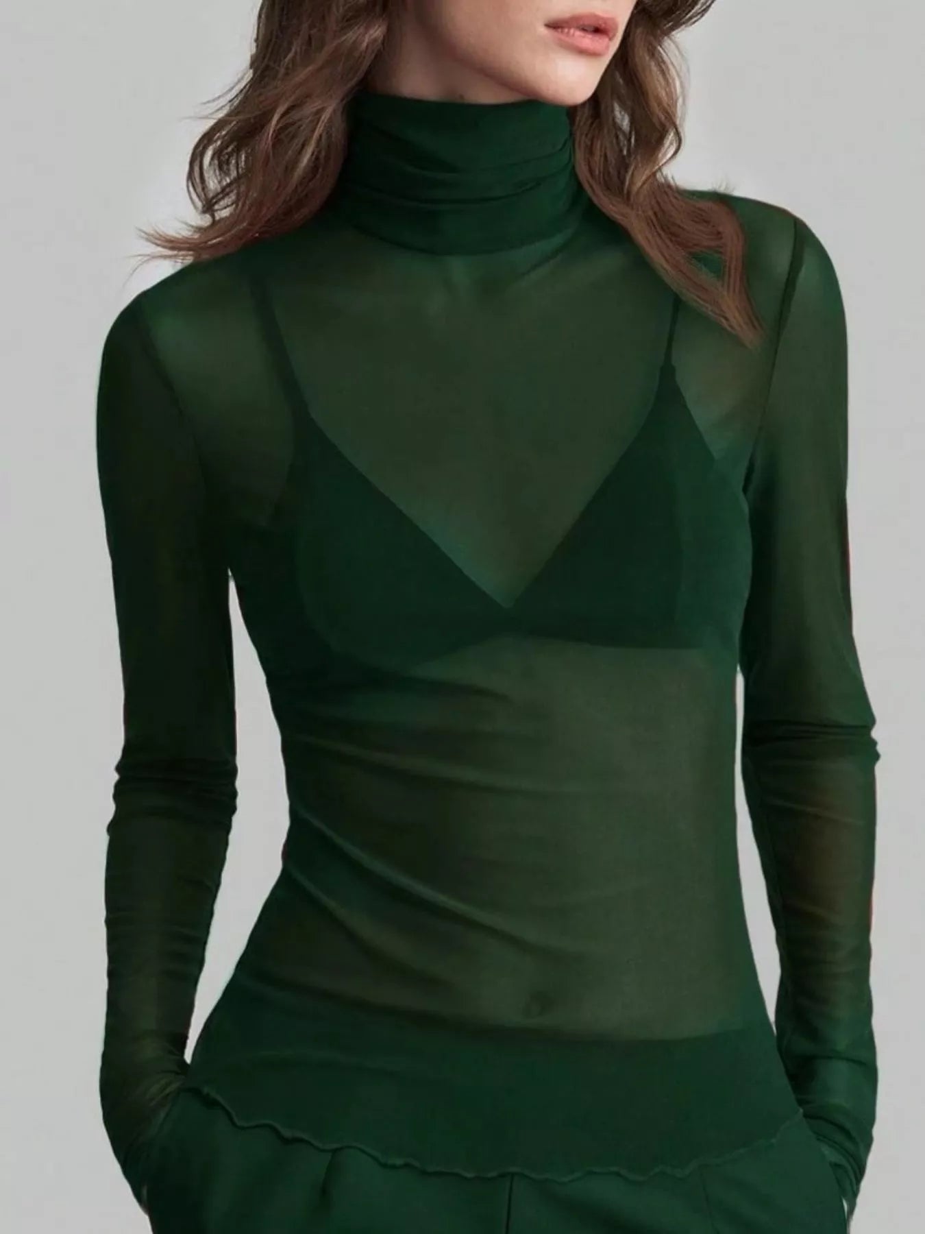 Sheer Mesh Turtleneck Top