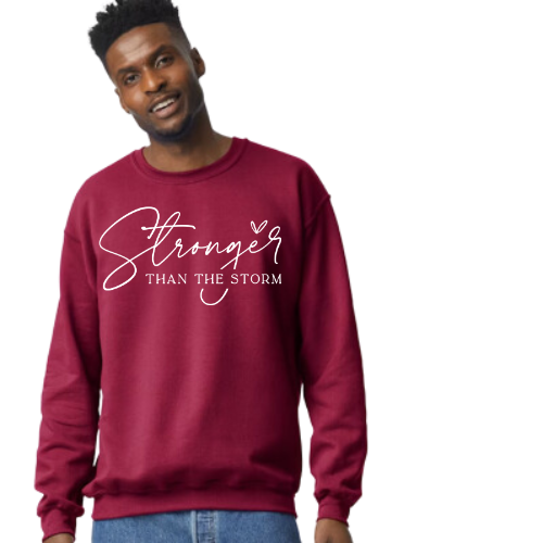 Stronger Than The Storm
