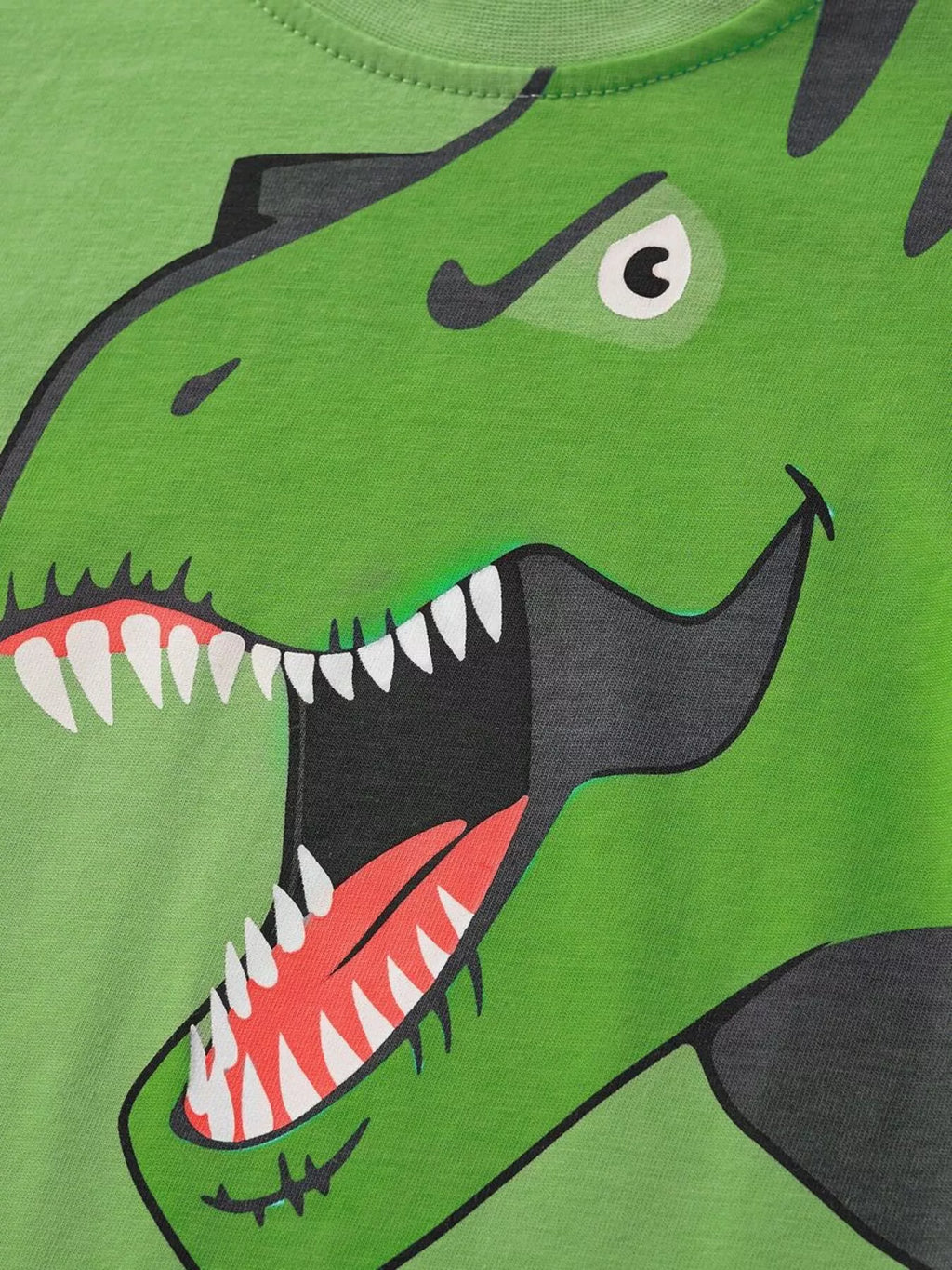 Children's Dinosaur Graphic Tee and Shorts Set