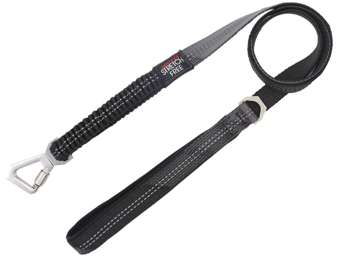 Pet Life ® 'Geo-prene' 2-in-1 Shock Absorbing Neoprene Padded Reflective Dog Leash and Collar