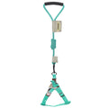 Touchdog Faded-Barker 2-in-1 Fashion Dog Leash and Harness